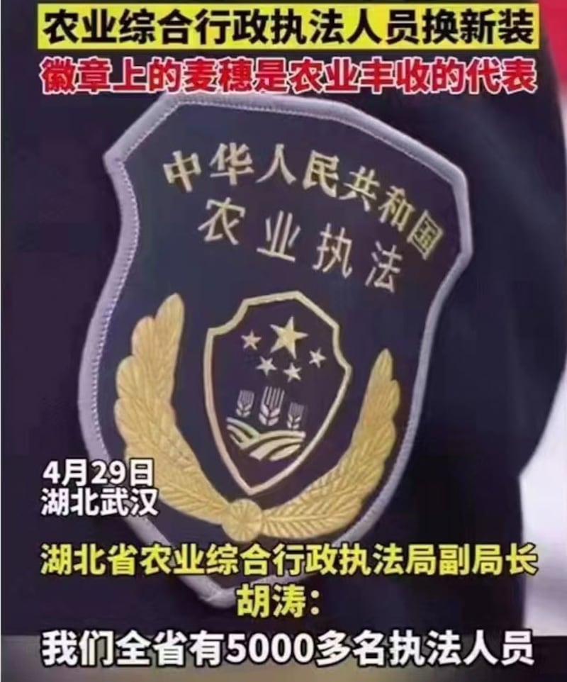 湖北省已建成一支五千多人的“农管”队伍。(网络图片/古亭提供)
